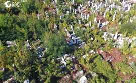 Cimitirul Evreiesc a ajuns din nou în paragină FOTOVIDEO