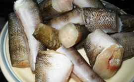 Anchetă internă la ANSA în cazul loturilor de pește infectat