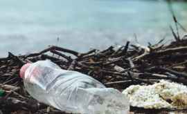 Savanţii au dezminţit mitul despre descompunerea plasticului
