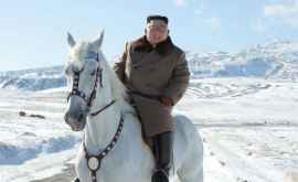 Ким Чен Ын поднялся на гору Пэктусан верхом на белом коне ФОТО
