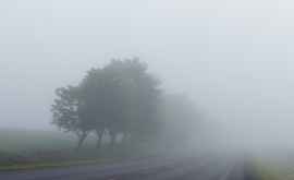 Meteorologii au prelungit Codul Galben de ceață 