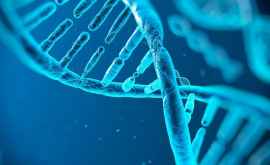 Генетики из США открыли 10 мутаций в ДНК повышающих риск развития шизофрении
