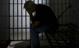 Lau condamnat la 15 ani de închisoare pentrulapte praf 