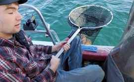 В Монтане рыбаки выловили из озера рысь ВИДЕО