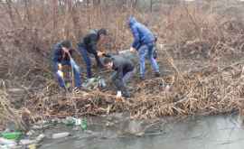 За 4 часа очистки русла реки Бык собрали 300 тонн отходов
