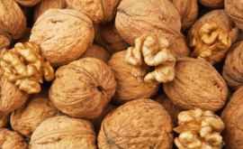 Молдова может начать выращивать грецкие орехи совместно с Беларусью