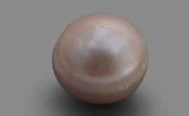 Самую древнюю в мире жемчужину покажут на выставке в АбуДаби