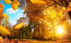 Прогноз на 23 октября Осень продолжает радовать нас теплой погодой 