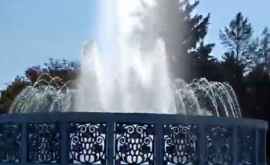 Двое молодых бельчан искупались в фонтане в центре города ВИДЕО