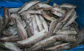 ANSA confirmă încălcări în livrările de pește congelat