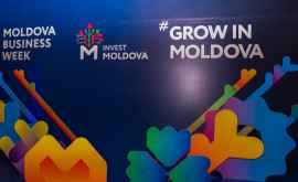 Moldova Business Week 2019 aduce în prim plan potențialul investițional al sectoarelor de nișă