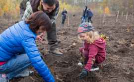 Maia Sandu a plantat stejari pe un teren din preajma satului Văsieni