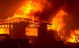  Пожары в Калифорнии вынудили Шварценеггера экстренно покинуть особняк