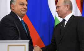 Путин и Орбан обсудили прокладку газовой ветки через Венгрию