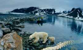 Климатологи прогнозируют резкое изменение погоды в Арктике