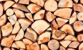 Граждане Молдовы будут платить больше за дрова твердых пород