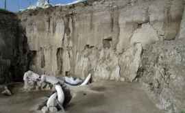 Потрясающее открытие в Мексике Ловушка на мамонтов 