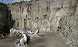 В Мексике найдена древняя ловушка для мамонтов