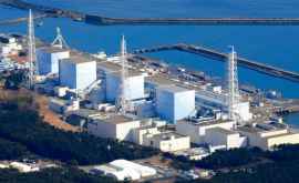 Fukushima va fi transformată întrun centru de energie regenerabilă