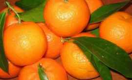 Beneficiile și daunele mandarinelor