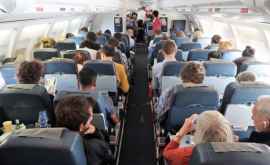 Турист безбилетный в Шереметьево изза голубя на борту задержали рейс