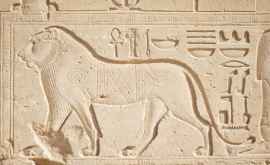 În Egipt a fost găsită mumia unui leu