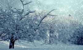 Iarna în R Moldova Meteorologii vorbesc despre recorduri şi criză climatică