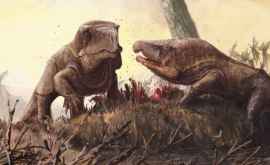 Ученые обнаружили древних драконообразных животных Эритросухидов У них был самый крупный череп в истории