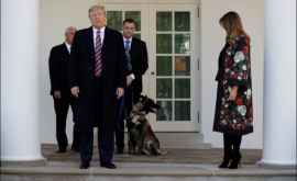 Președintele SUA sa întîlnit cu un cîine agent secret FOTO