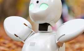 В Японии роботы помогут больным ученикам не пропускать уроки