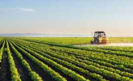 Ziua Agricultorului Chicu Sectorul agricol are un rol important pentru economia țării