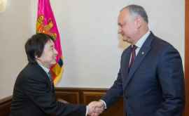 Молдова ждет новых японских инвестиций в экономику