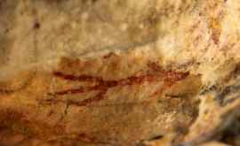В испанской пещере найдены 5000летние рисунки и символы