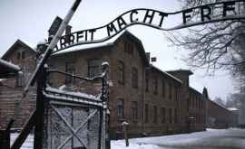 Меркель впервые посетит лагерь смерти Освенцим в Польше