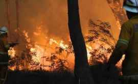 În Australia pompierii nu mai fac față incendiilor și fug săşi salveze vieţile