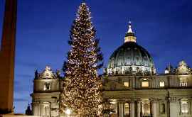 В Ватикане зажгли огни на рождественской ели