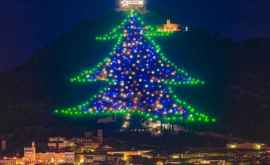 În Italia a fost inaugurat cel mai înalt pom de Crăciun din lume FOTOVIDEO