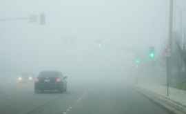 Метеопредупреждение Желтый уровень опасности тумана по всей Молдове