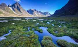 Древняя ДНК из арктических озёр предскажет эволюцию экосистем