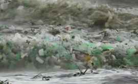К берегу Индийского океана прибило тонны мусора