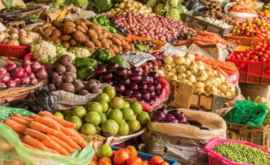 Rusia este gata să suplinească lista exportatorilor de produse horticole moldovenești