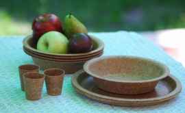 Oamenii de știință din Samara au confecționat tacîmuri din mere