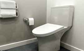 A fost creat un vas de toaletă care va contribui la sporirea productivității angajaților 