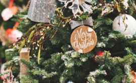 În CeadîrLunga bradul de Crăciun a fost din nou vandalizat