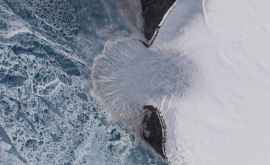 Ghețarul Vavilov din Arctica alunecă în ocean cu o vitezărecord