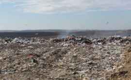 Проклятие мусора в Бельцах Примэрия просит помощи правительства
