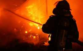 Incendiu la o fermă din Orhei 7400 mii de pui au murit