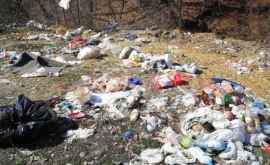 Село в Каларашском районе накрыло мусором
