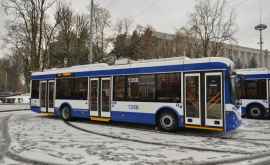 Cum vor circula troleibuzele și autobuzele în noaptea de Revelion