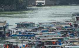 В Китае вступил в силу 10летний запрет на вылов рыбы в реке Янцзы